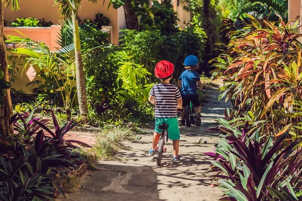 Dos Niños Pequeños Que Divierten Bicicleta Equilibrio Camino Tropical País — Foto de Stock