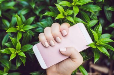 Tutuşun pembe çivi ile pembe telefon.