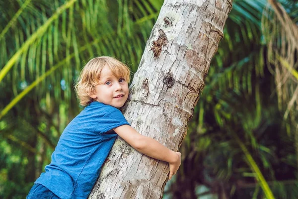 Boy Climbing Three Having Fun Outdoors Park — Stock Photo, Image