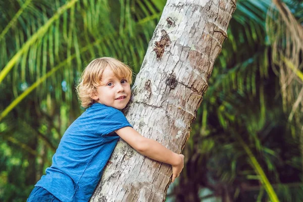 Jongen Een Drie Klimmen Plezier Buiten Een Park — Stockfoto