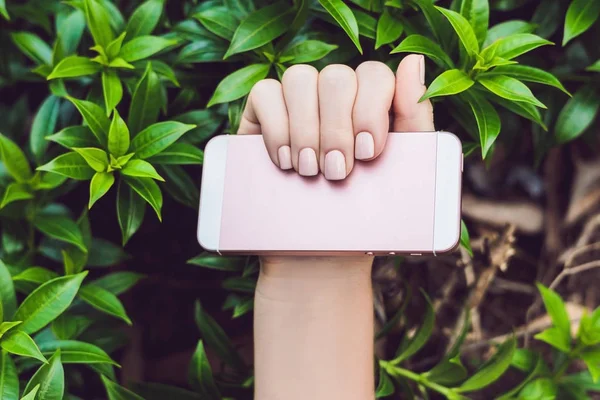 Handen Met Roze Nagels Houd Roze Telefoon — Stockfoto