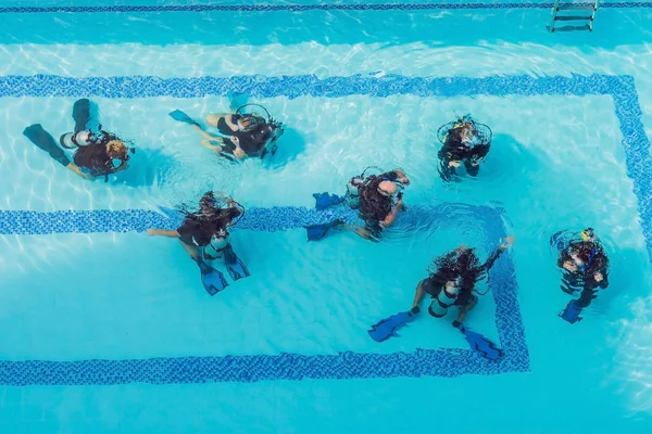 Diving instructor and students. Instructor teaches students to dive.