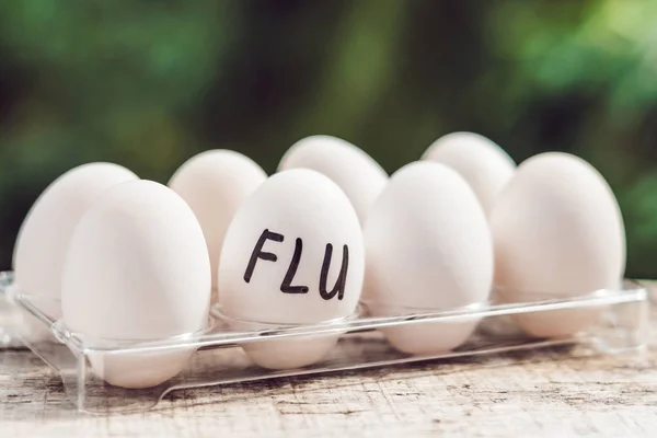 Signez FLU sur l'œuf. Le concept de maladie. Grippe aviaire, sa — Photo
