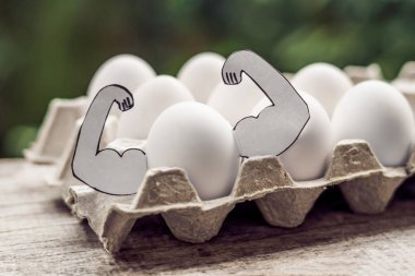 Kaslı yumurta, yumurta protein, spor ve beslenme, diyet kavramı