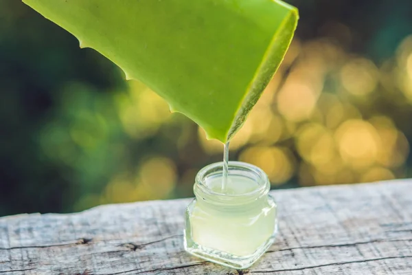 Transparent essence from aloe vera plant drips from leaves, — Stock Photo, Image