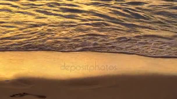 Zachte Wave Zanderige Kust Bij Zonsondergang — Stockvideo