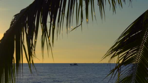 Puesta Sol Una Playa Tropical Vista Sobre Mar Través Las — Vídeos de Stock