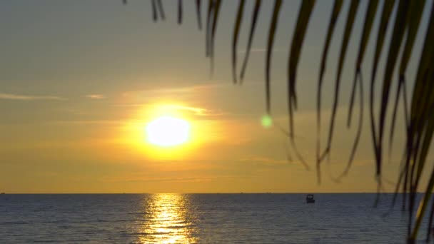 Pôr Sol Uma Praia Tropical Vista Sobre Mar Através Dos — Vídeo de Stock