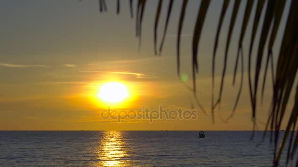 Pôr do sol em uma praia tropical vista sobre um mar através dos ramos de uma palmeira — Vídeo de Stock
