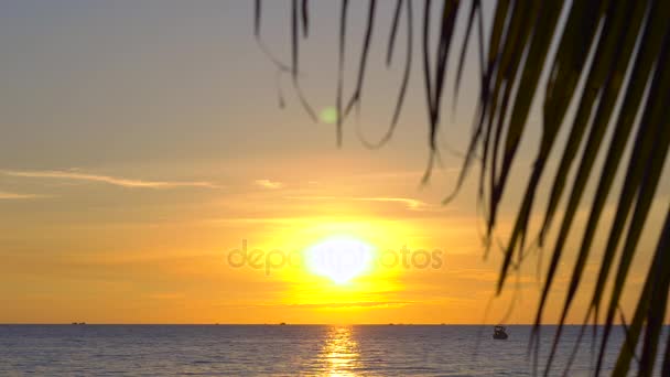 Puesta de sol en una playa tropical - vista sobre un mar a través de las ramas de una palmera — Vídeo de stock