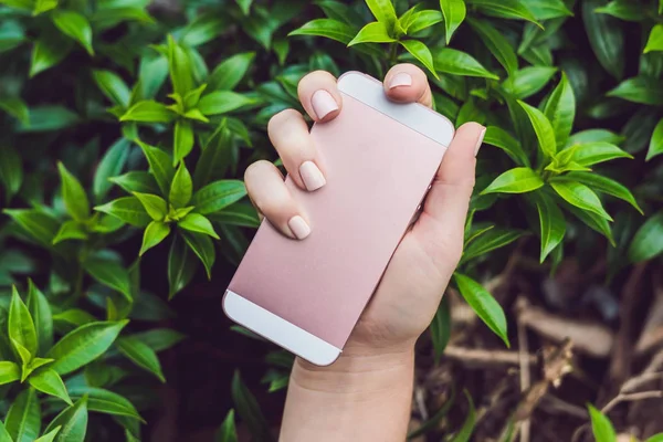 Tutuşun pembe çivi ile pembe telefon