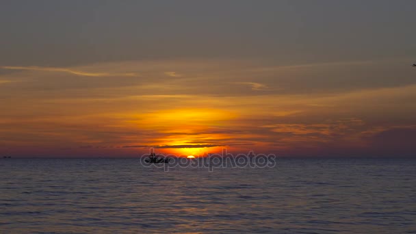 Sunset Tropical Beach View Sea Silhouette Airplane Landing — Stock Video