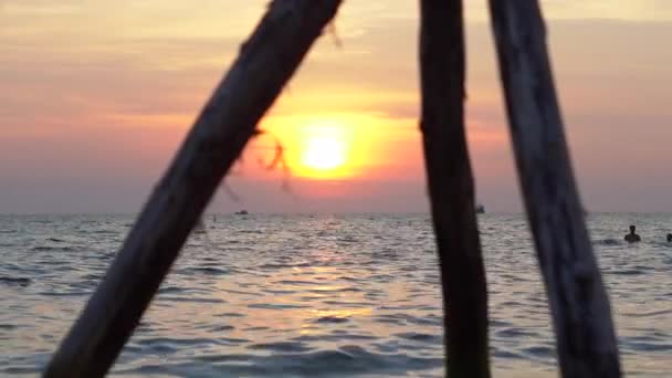 Solnedgang Skutt Gjennom Trehusker Havet – stockvideo