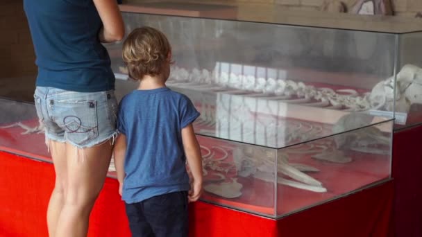 Vrouw en haar zoon in een natuurlijke museum botten van een dolfijn en manatee kijken — Stockvideo