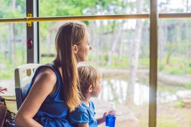Turistler safari park otobüste hayvanlardan izle.