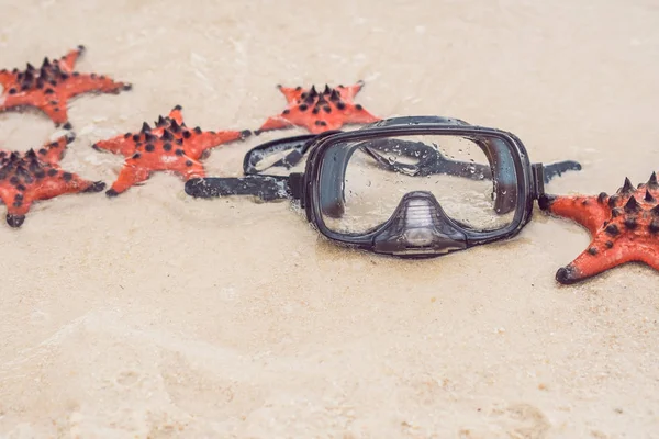 Red starfish and diving mask on the beach.