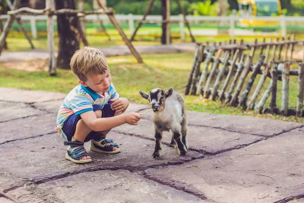 Petit Garçon Mignon Nourrit Une Petite Chèvre Nouveau Née Jour — Photo