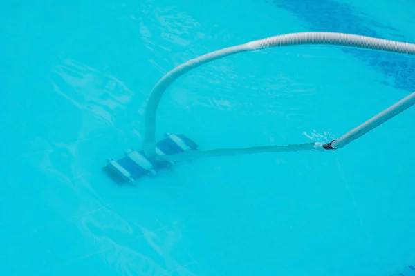 Pool vacuum cleaning flexible hose on the pool.