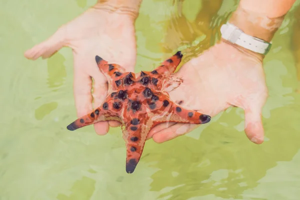 海の横にある 手に赤いヒトデ — ストック写真