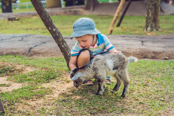 Mały Ładny Chłopiec Jest Karmienie Małe Kozy Noworodka Ciągu Dnia — Zdjęcie stockowe