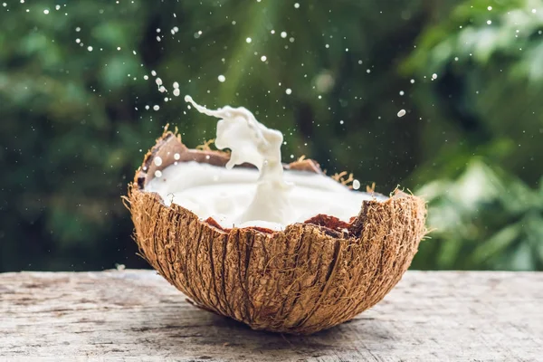 Coconut fruit and milk splash inside it on a background of a palm tree.