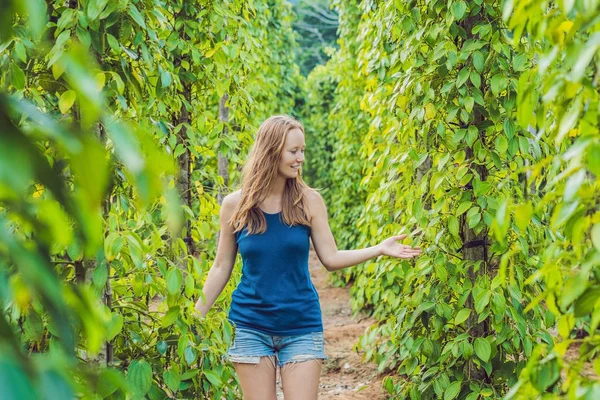 Vietnam Phu Quoc Karabiber Çiftliğinde Genç Kadın — Stok fotoğraf