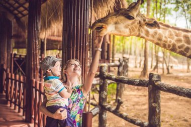 Mutlu anne ve izlemek ve hayvanat bahçesinde zürafa besleme oğlu. Mutlu aile ile hayvan safari Parkı'sıcak yaz gününde eğleniyor.