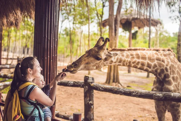Щаслива Мати Син Спостерігають Годують Жирафа Зоопарку Щаслива Сім Розважається — стокове фото