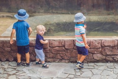 Camın terrarium içinde sürüngenler izliyor çocuklar.