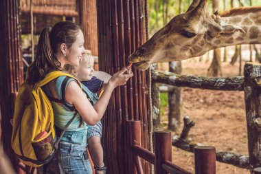 Mutlu anne ve izlemek ve hayvanat bahçesinde zürafa besleme oğlu. Mutlu aile ile hayvan safari Parkı'sıcak yaz gününde eğleniyor.