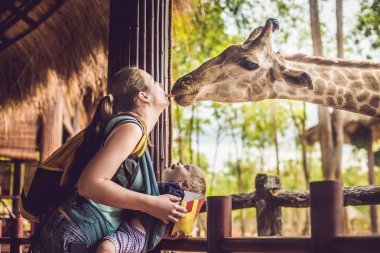 Mutlu anne ve izlemek ve hayvanat bahçesinde zürafa besleme oğlu. Mutlu aile ile hayvan safari Parkı'sıcak yaz gününde eğleniyor.
