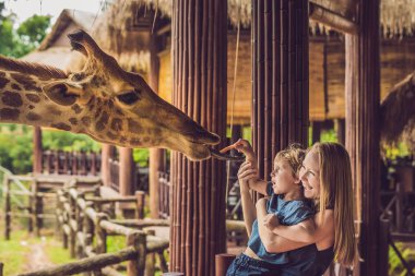 Mutlu anne ve izlemek ve hayvanat bahçesinde zürafa besleme oğlu. Mutlu aile ile hayvan safari Parkı'sıcak yaz gününde eğleniyor.