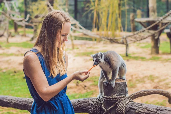 若い女性は ワオキツネザル Lemur Catta が供給されます 自然の美しさ ふれあい動物園のコンセプト — ストック写真