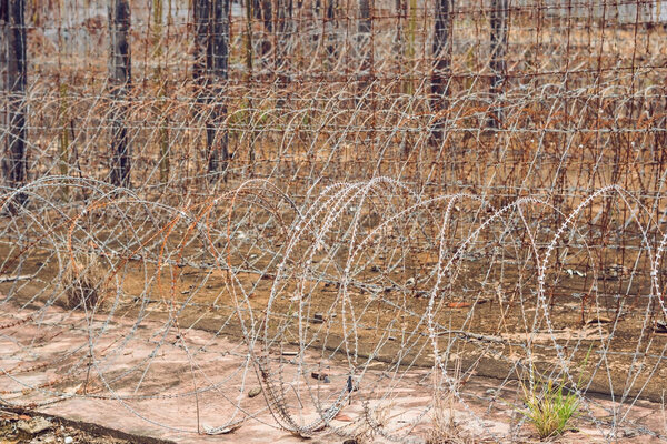 Barbed wire, a fence in prison. Prison concept