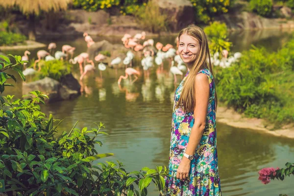 Young Woman Posing Outdoors Flock Flamingos Pond Background — Stock Photo, Image