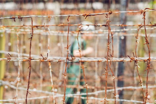 Barbed wire, a fence in prison and the silhouette of a prison guard on the background.