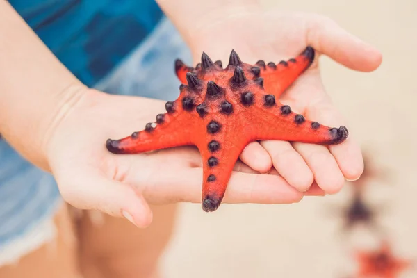 Ellerini Denizin Yanında Kırmızı Deniz Yıldızı — Stok fotoğraf