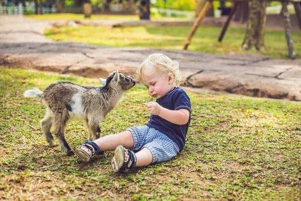 Petit Garçon Mignon Nourrit Une Petite Chèvre Nouveau Née — Photo