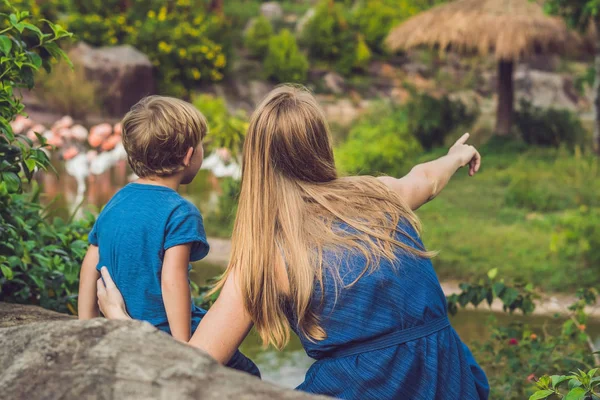 Mom Son Looking Flock Birds Pink Flamingos Pond — Stock Photo, Image