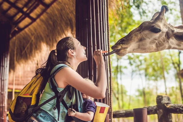 Happy Mother Son Watching Feeding Giraffe Zoo Happy Family Having — Stock Photo, Image