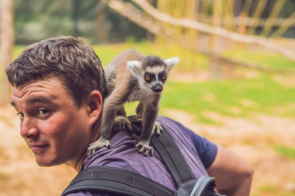 Lemur climbed onto the man. Animal attack in the zoo.