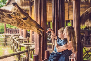 Mutlu anne ve izlemek ve hayvanat bahçesinde zürafa besleme oğlu. Mutlu aile ile hayvan safari Parkı'sıcak yaz gününde eğleniyor.