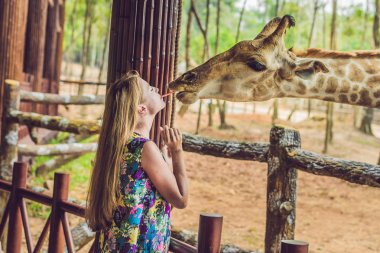 Hayvanat bahçesinde zürafayı seyreden ve besleyen mutlu genç bir kadın. Mutlu genç bir kadın sıcak yaz gününde hayvanlarla safari parkında eğleniyor..