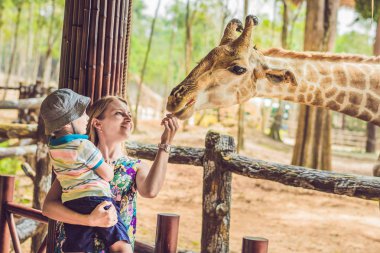 Mutlu anne ve izlemek ve hayvanat bahçesinde zürafa besleme oğlu. Mutlu aile ile hayvan safari Parkı'sıcak yaz gününde eğleniyor.