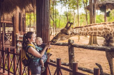 Mutlu anne ve izlemek ve hayvanat bahçesinde zürafa besleme oğlu. Mutlu aile ile hayvan safari Parkı'sıcak yaz gününde eğleniyor.