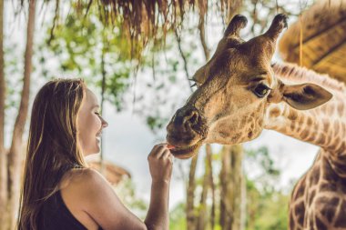 Hayvanat bahçesinde zürafayı seyreden ve besleyen mutlu genç bir kadın. Mutlu genç bir kadın sıcak yaz gününde hayvanlarla safari parkında eğleniyor..