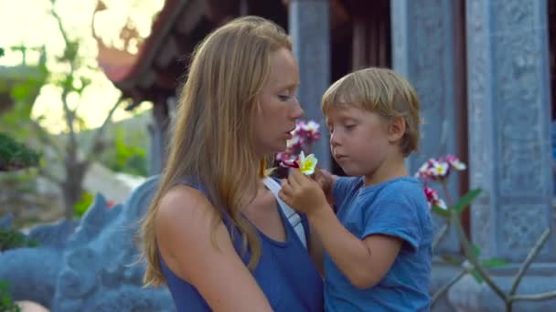 Mulher Seu Filho Cheiram Flores Frangipani Dentro Templo Budista Quoc — Vídeo de Stock