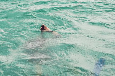 Dalgıçlar dalış için hazır su yüzeyinde