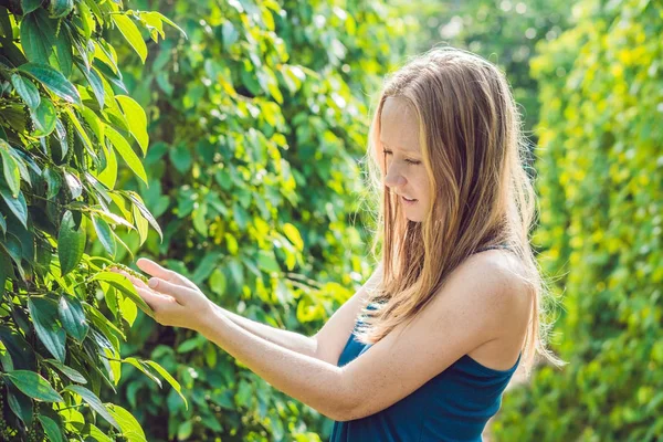 Jovem Uma Fazenda Pimenta Preta Vietnã Phu Quoc — Fotografia de Stock