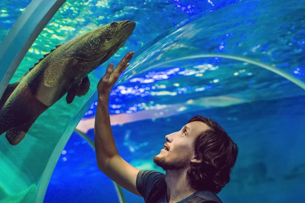 Man looks at the fish in the aquarium — Stock Photo, Image